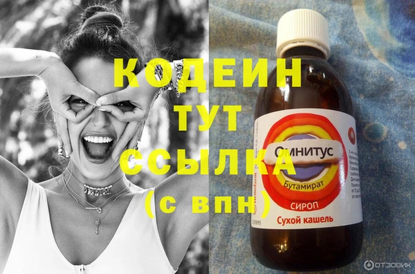 прущие грибы Россошь