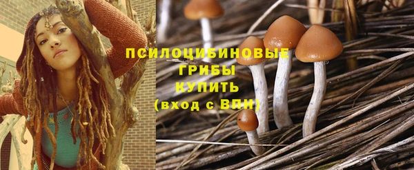 МДПВ Сатка