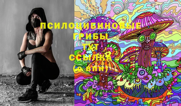 прущая мука Саяногорск