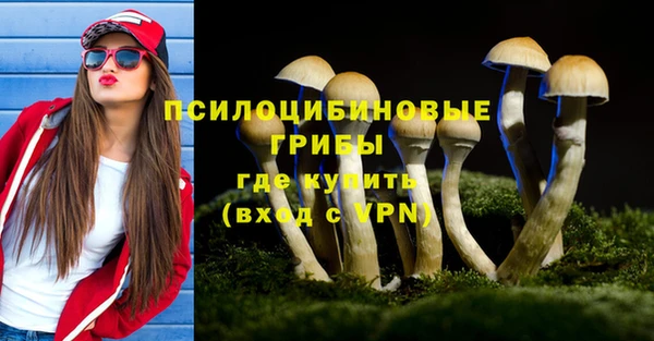 прущая мука Саяногорск