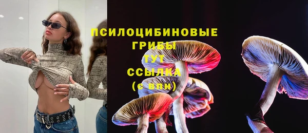прущие грибы Россошь