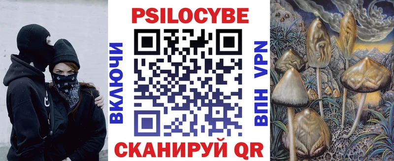 Псилоцибиновые грибы Magic Shrooms Купить закладки Пудож